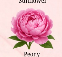 Peony