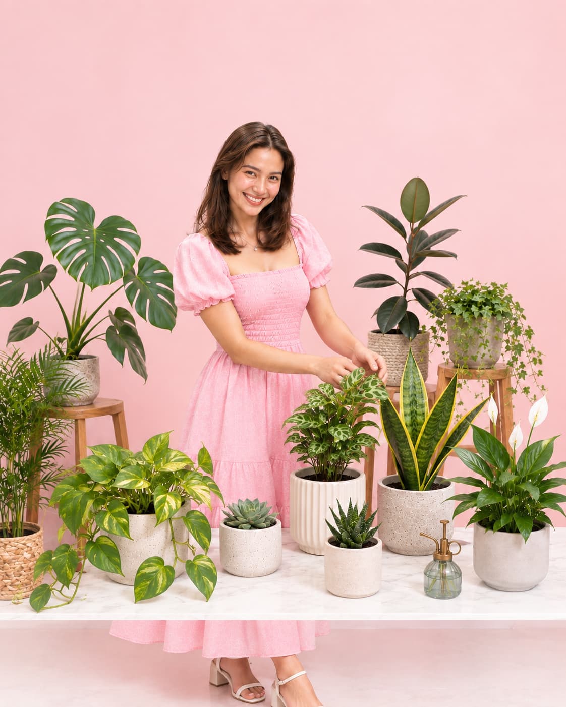 Indoor & Outdoor Plants