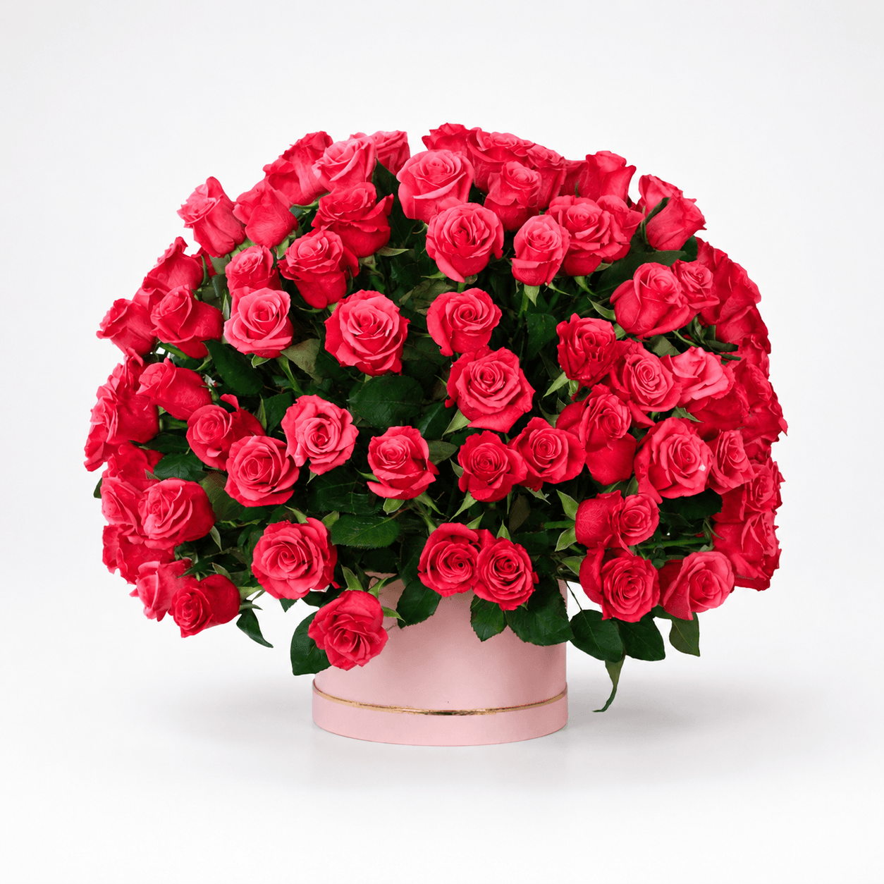 Royal Red photo 1