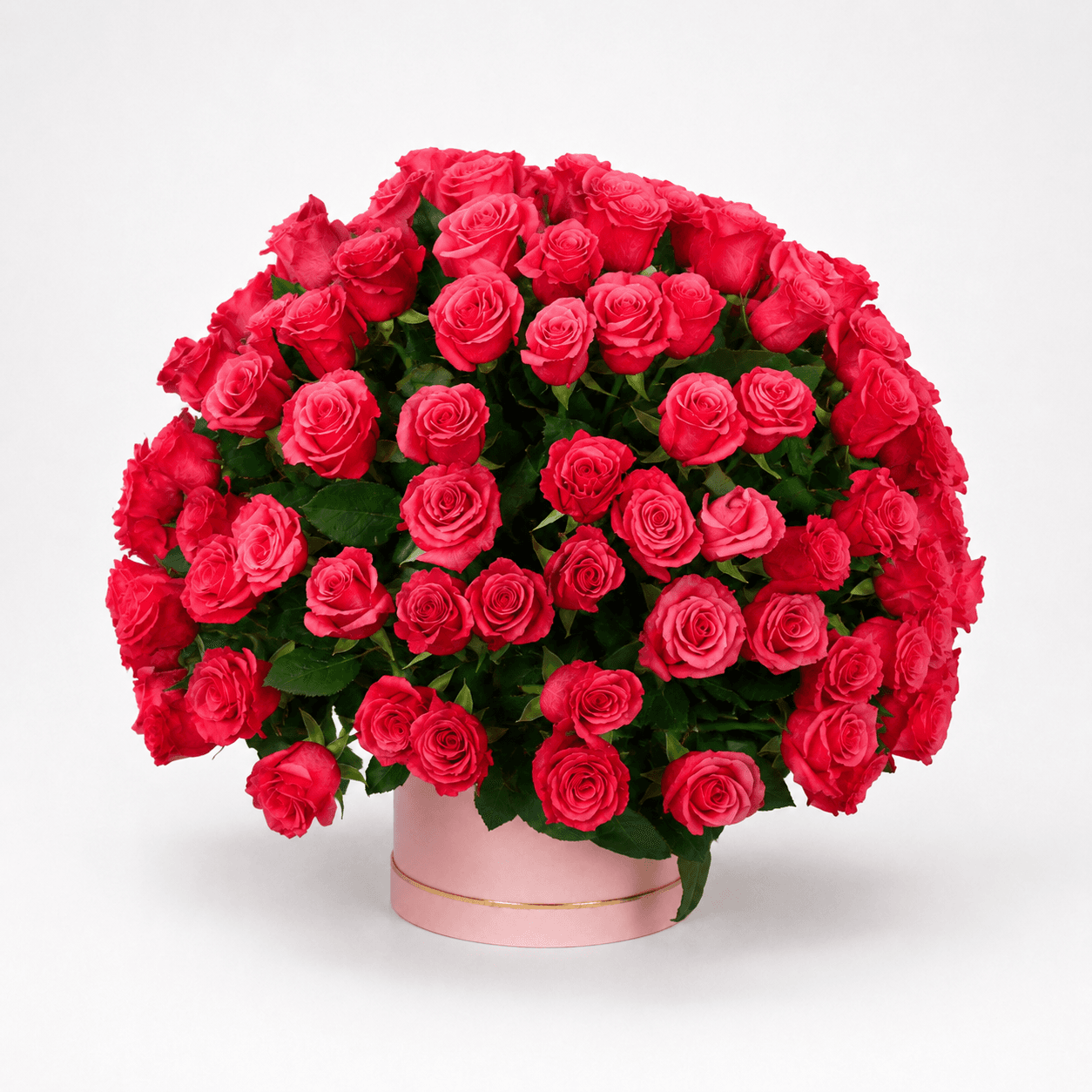 Royal Red photo 2