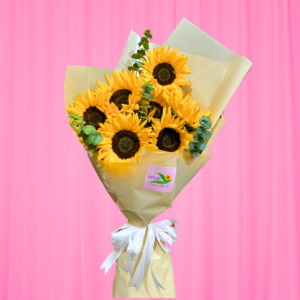 Fields of Sunshine