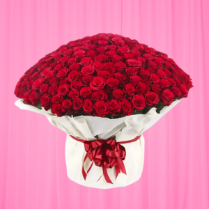 500 Red Roses